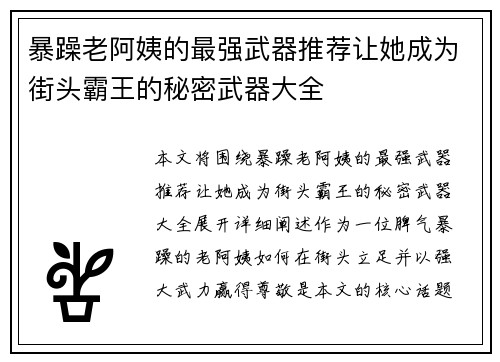暴躁老阿姨的最强武器推荐让她成为街头霸王的秘密武器大全